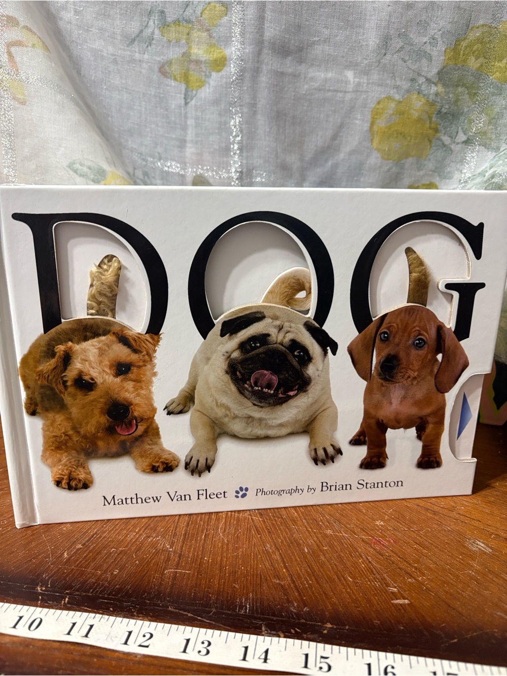 Kids Dog Puzzle/Interactive/Sensory Book - White and Brown Story Puppy Photos